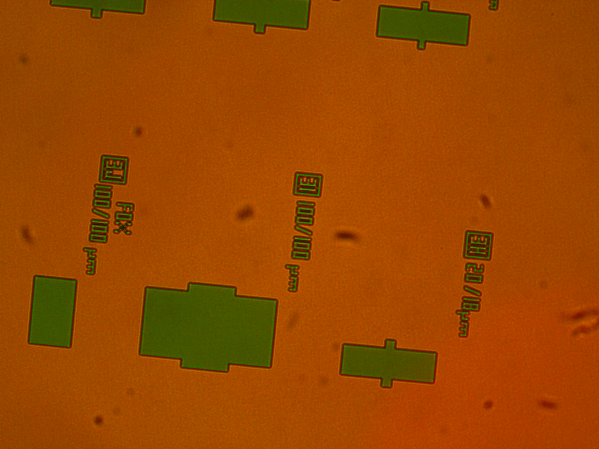 transistor wafer being analyzed